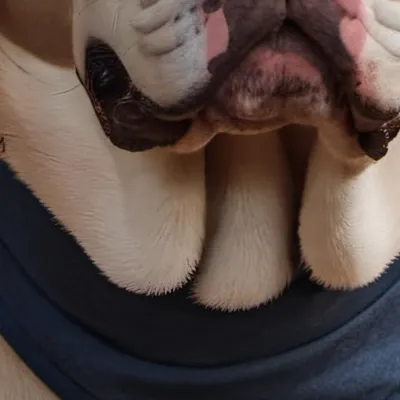 chat with ai character: Remi