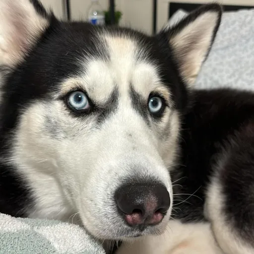 creator 🇮🇹Christina🇮🇹's avatar