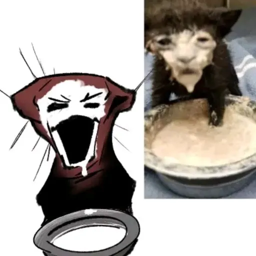 creator ●𝕽𝖊𝖝●'s avatar