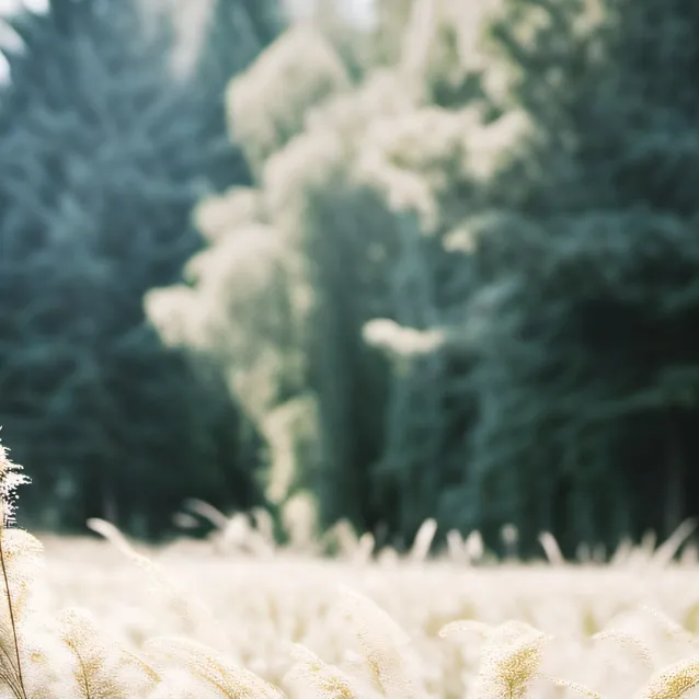 chat with ai character: GO TOUCH GRASS 