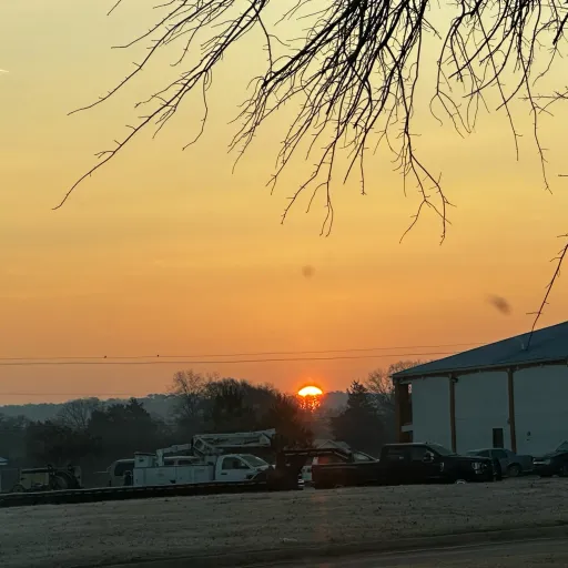 creator vi is real's avatar