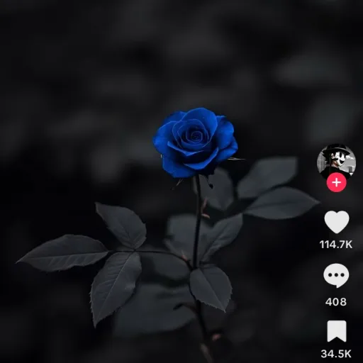 creator lookdowngoodboy's avatar