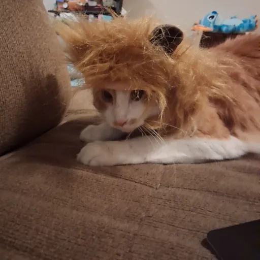 creator FRENCH MFRIES's avatar