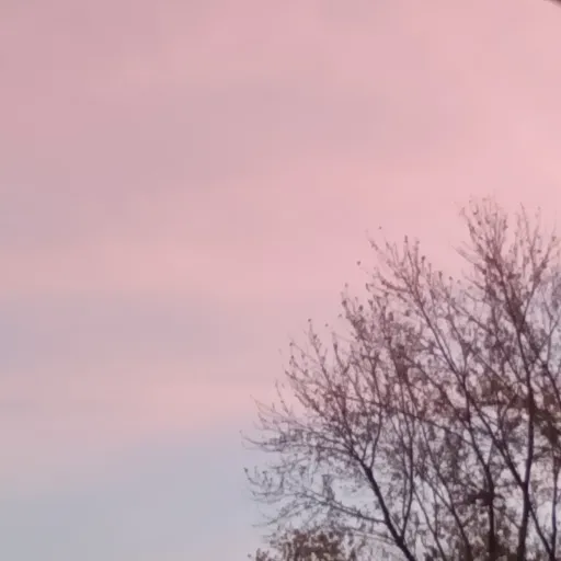 creator Kaymay 2309's avatar