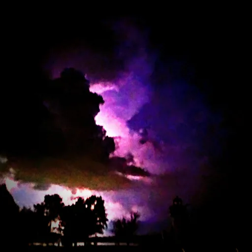 creator catMaxel's avatar