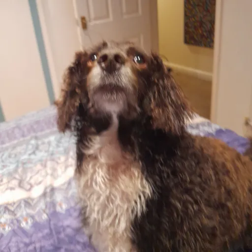 creator Quinn ☆'s avatar