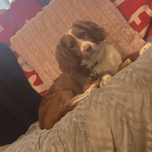 creator Taylor658's avatar