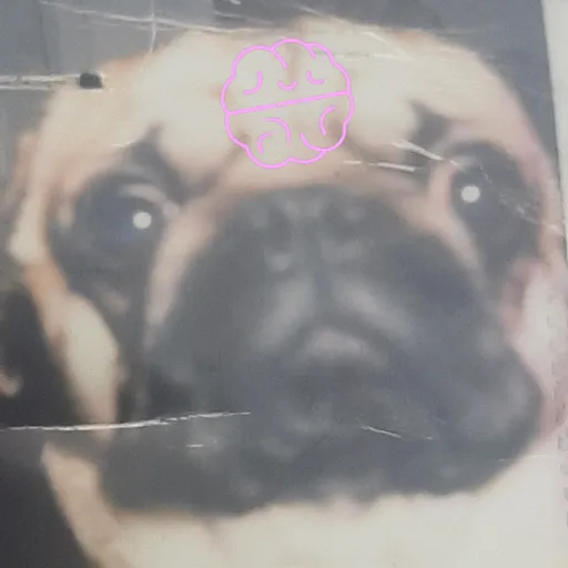 creator @Casey (　・ω・)'s avatar