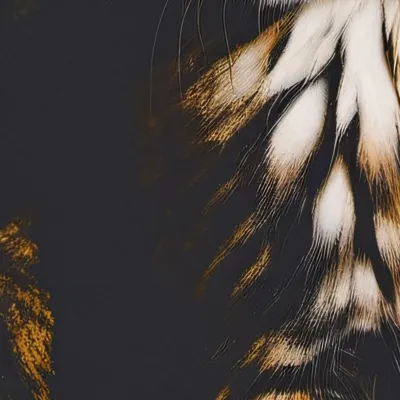 chat with ai character: Finish the lyrics