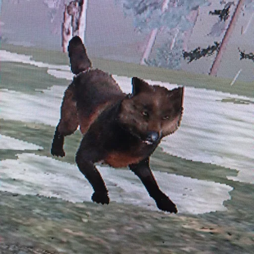 creator Adora18's avatar