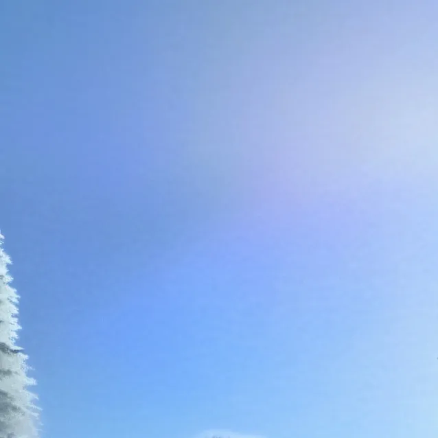 chat with ai character: Chase