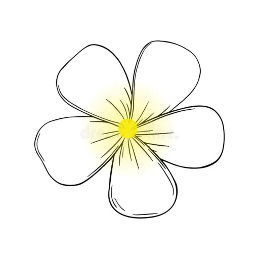 creator Travis Creighton's avatar