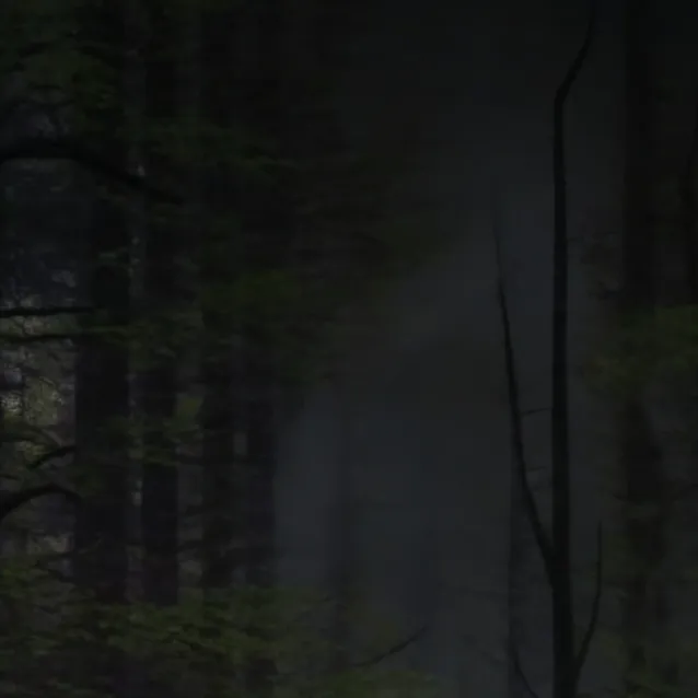 chat with ai character: Mysterious Forest