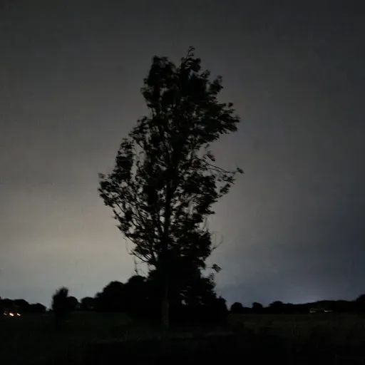 creator Ko2mo2's avatar