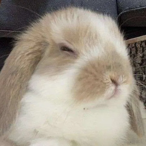 creator _Benjamin?_'s avatar