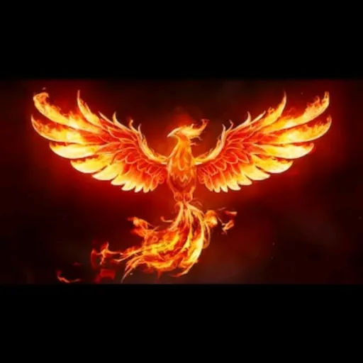 creator phoenix rider's avatar