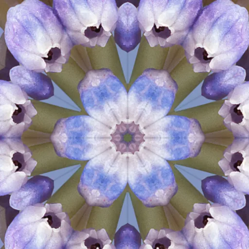 creator Talkior-ziaOxgsw's avatar