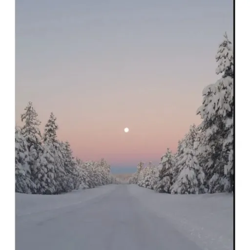 creator Natalie U.'s avatar