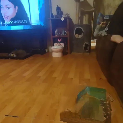 creator 2021kid's avatar