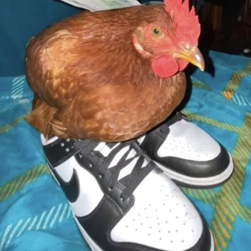 creator CHIKANSLICE?'s avatar