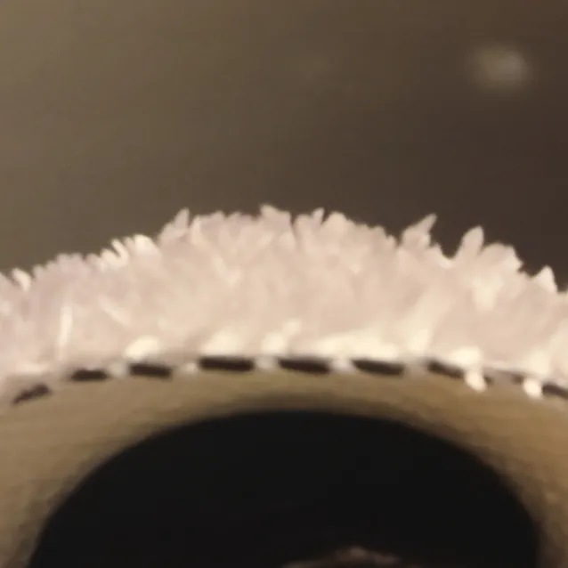 chat with ai character: dino dayna