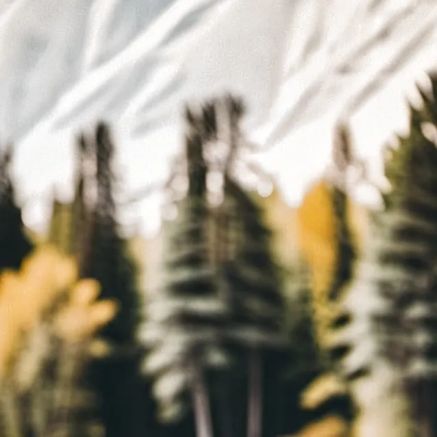 chat with ai character: Bakuspuad 