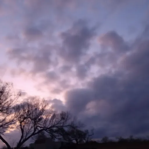 creator Denise Anna gurly's avatar