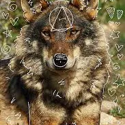 creator Charlotte🤜🏻🤛🏿's avatar