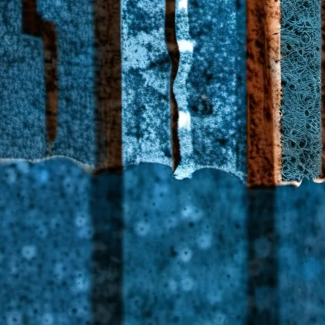 chat with ai character: BELLATRIX LESTRANG