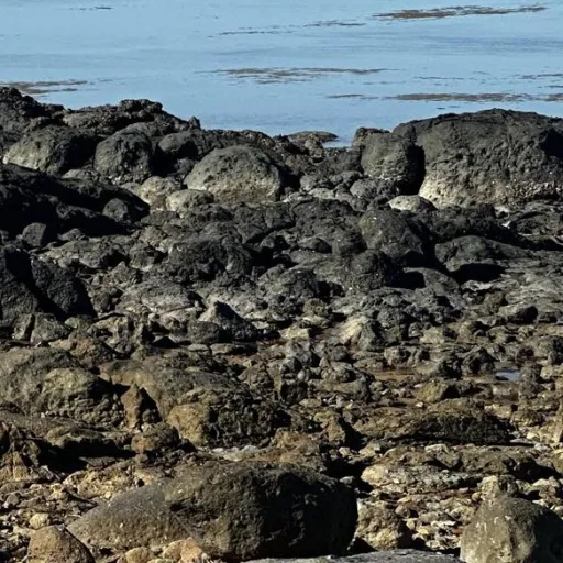 creator 🏗🏗🏗🏗🏗    🏗🏗🏗🏗🏗's avatar