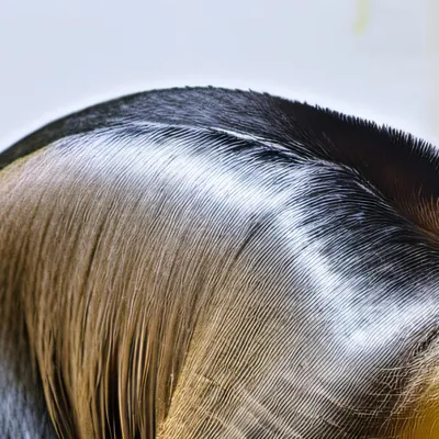 chat with ai character: Giant anteater