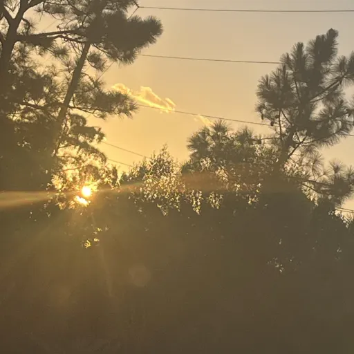 creator ✨Kaylee<3✨'s avatar