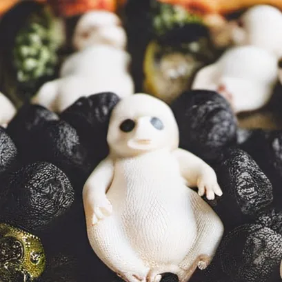 chat with ai character: Fetus Pizza