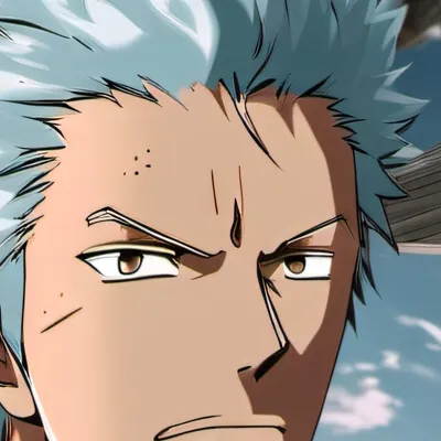 chat with ai character: Zoro in ds 