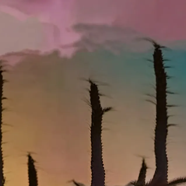 chat with ai character: Jjj road trip