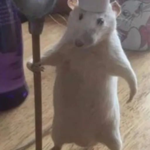 creator ♰♡Ari♥︎✞'s avatar