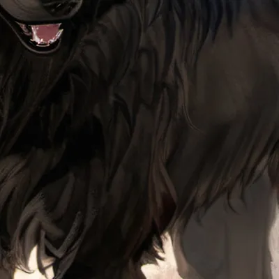 chat with ai character: ~| Midnight |~