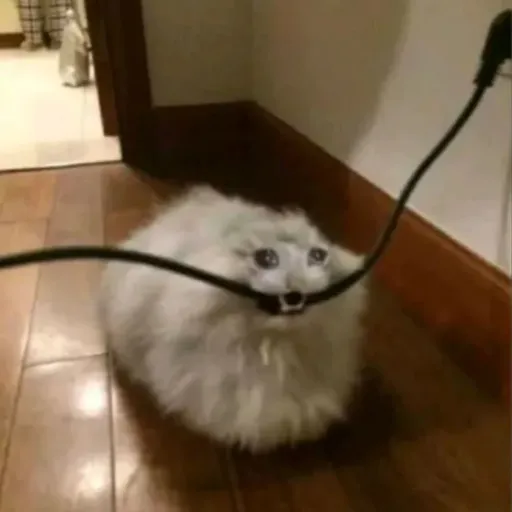 creator PUFF THE CANDY MAN's avatar