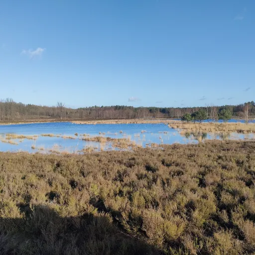 creator Real relationships's avatar