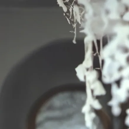 chat with ai character: Blanquita