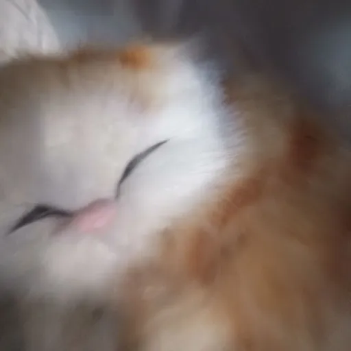 creator Catherine💜❤️'s avatar