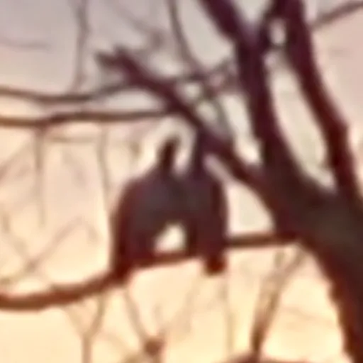 creator nugget^^'s avatar