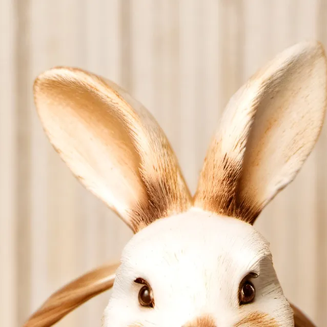 chat with ai character: Easter Bunny