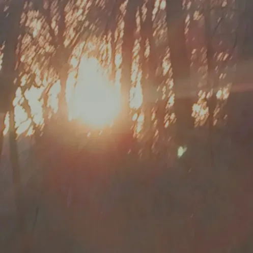 creator Evebody's avatar