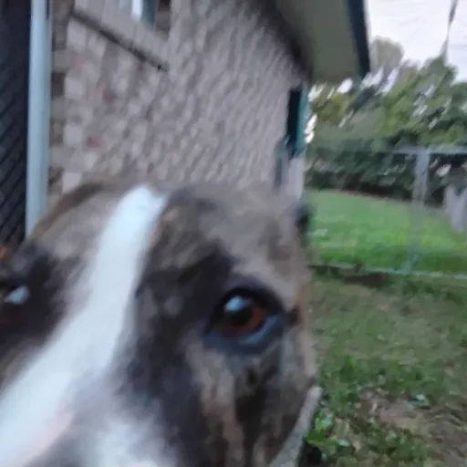 creator ☆~Ayla~☆'s avatar