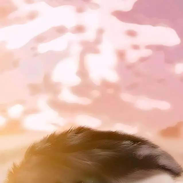 chat with ai character: Patrick Carrigan