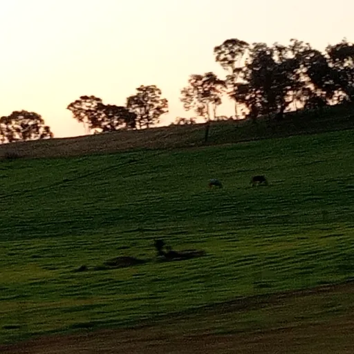 creator Sal-ken's avatar