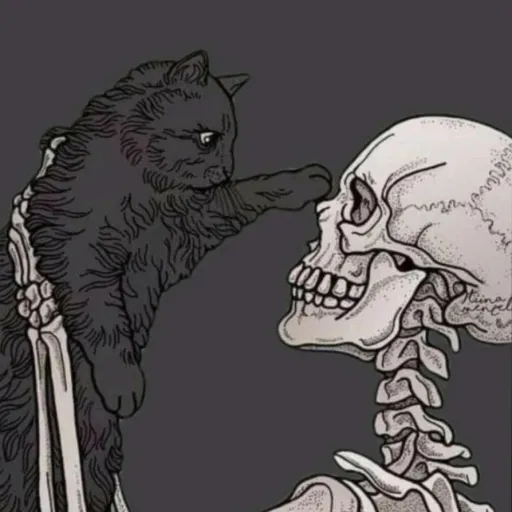 creator Sheawn's avatar