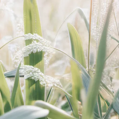 chat with ai character: Bruh💀💀💀