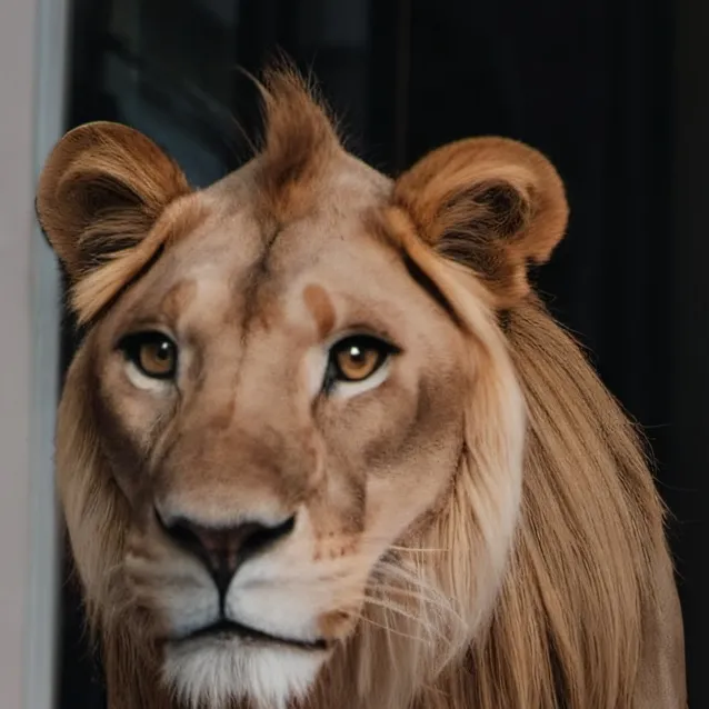 chat with ai character: nothing 